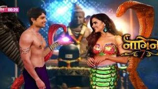 Naagin 7 Serial Spoilers, Future Twists, and Gossip